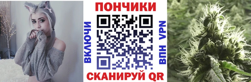Бошки Шишки Выборг