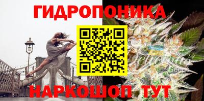 ECSTASY Балашиха