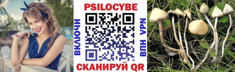 Псилоцибиновые грибы Psilocybe  Выборг 