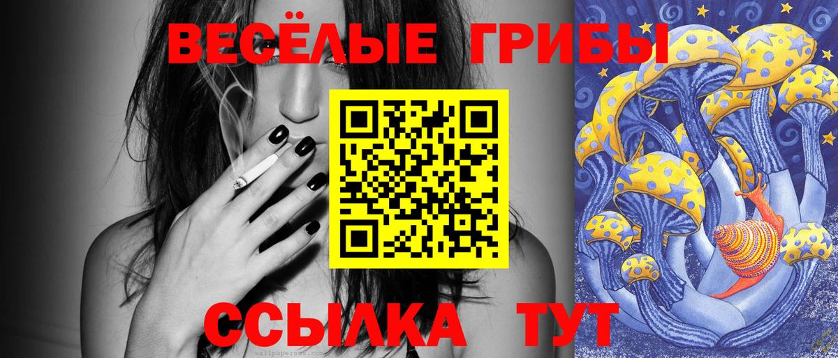 Галлюциногенные грибы MAGIC MUSHROOMS Выборг