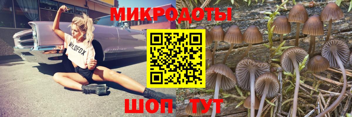 Галлюциногенные грибы MAGIC MUSHROOMS  Вход с VPN  Псилоцибиновые грибы GOLDEN TEACHER  Выборг 
