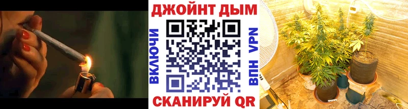 сколько стоит  kraken рабочий сайт  Марихуана сатива  Выборг 