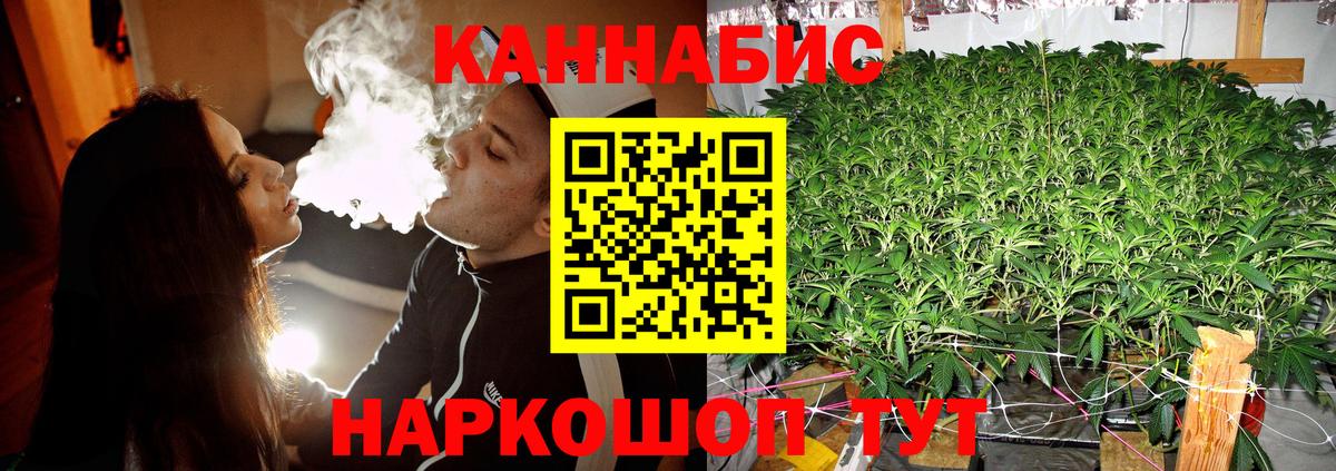 Шишки марихуана SATIVA & INDICA Выборг